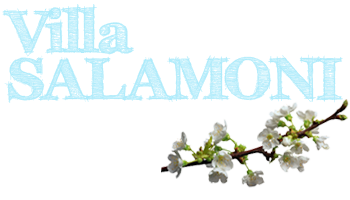 Vacation in Croatia in Mlini near Dubrovnik Accommodation in Mlini near Dubrovnik